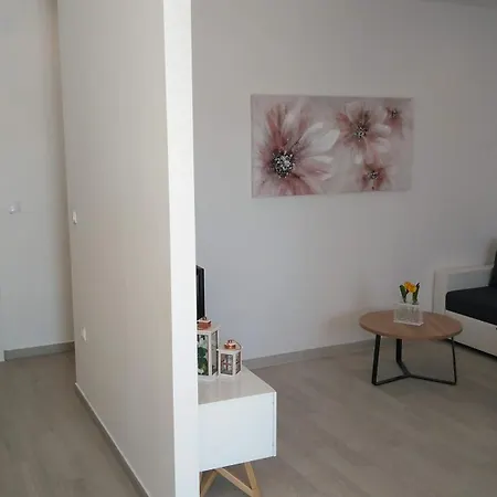 Apartment Tomic *